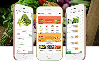 冻品配送app开发有哪些优势？