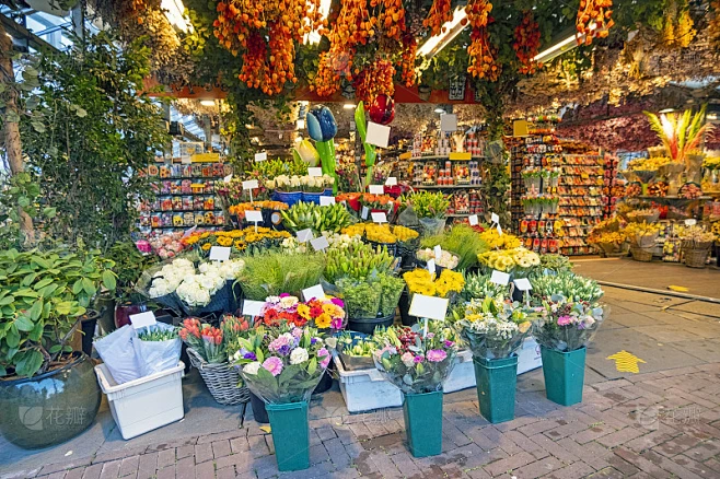 荷兰阿姆斯特丹布洛姆马克的花店